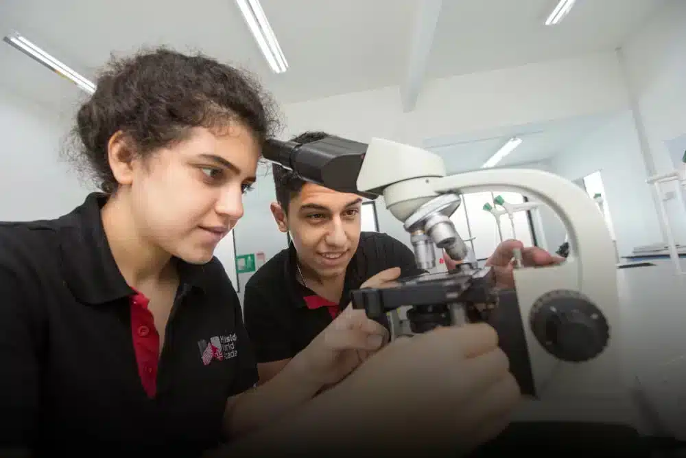 virtual open house middle international school